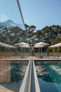 La alberca dentro o cerca de Mar Puro