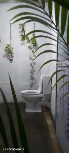 a bathroom with a toilet with a plant on the wall at Villa Tharu in Hikkaduwa
