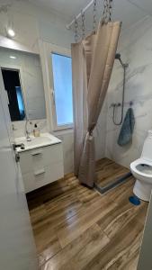 un bagno con doccia, lavandino e WC di Ribera y Gastronomía ad Aranda de Duero