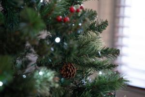 Billede fra billedgalleriet på Redbanks Apartment i Ambleside