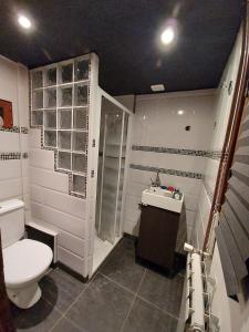 un baño con inodoro y lavabo en Gîte in logement complet - 11 personnes - max 15, sous réserve, en Varennes-Saint-Honorat 9 fotos más