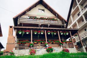 ein Gebäude mit Blumenkästen und Pflanzen darauf in der Unterkunft Pensiunea MariFlor in Ranca