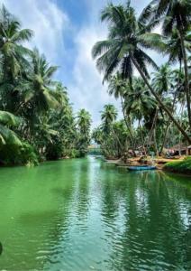 einen Fluss mit Palmen und einem Boot darauf in der Unterkunft Heaven Beach AC Stay in Gokarn