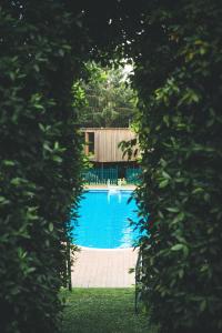 a swimming pool seen through a gap in some trees at HolaCamp Camino in O Pino 