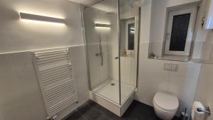 Wohnung zentral zwischen Gladbeck und Buer في غلادبك: حمام مع دش زجاجي ومرحاض