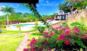 Bassein majutusasutuses Las Galeras Village Ecolodge või selle lähedal