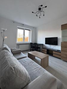 un soggiorno con divano e TV a schermo piatto di Przytulny a Bielsko-Biała