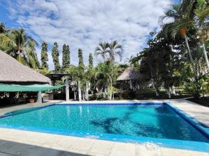 El ConacasteConacaste Ranch的棕榈树度假村的游泳池
