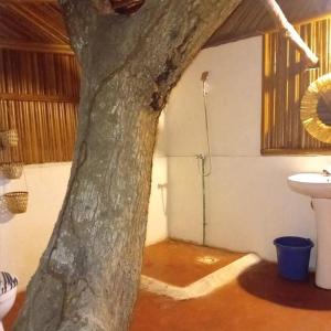 Ένα μπάνιο στο DANAE BEACH SAkATIA