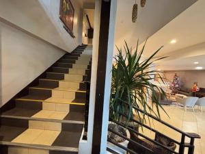 Una escalera en una casa con una planta en D' Leonor Hotel, en Davao City