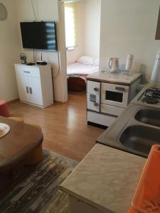 Η κουζίνα ή μικρή κουζίνα στο Kuca za odmor Marija