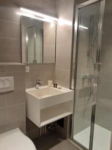 a bathroom with a sink and a shower at Hôtel du Cheval Blanc Brunstatt in Brunstatt