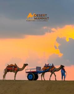 Ảnh trong thư viện ảnh của Desert Mannat Luxury Camping Jaisalmer ở Sām