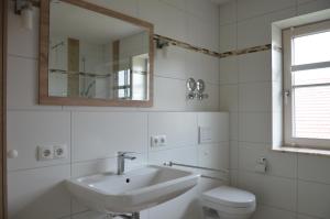 a bathroom with a sink and a toilet and a mirror at Ferienhaus zur Tulpe, Legoland in Ettenbeuren +18 photos