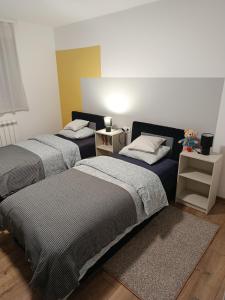 Un dormitorio con tres camas y una mesa con mesita de noche. en Mitrovića kuća, en Arandjelovac