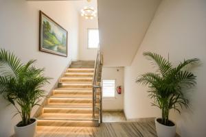 Φωτογραφία από το άλμπουμ του FabHotel Silver Key kalighat στην Καλκούτα