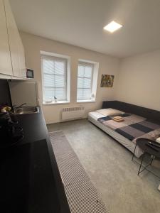 Nhà bếp/bếp nhỏ tại Apartmány Atrium