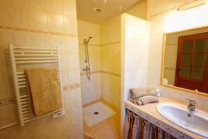 un bagno con lavandino e doccia di L Ambrosien, un nid douillet a Saint-Ambroix Altre 13 foto