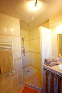 un bagno con doccia e lavandino di L Ambrosien, un nid douillet a Saint-Ambroix