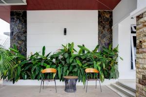 班达亚齐Collection O Blower Residence Syariah的房间里有两把椅子和几盆植物。 更多21张照片