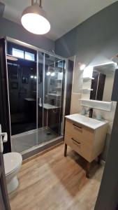 ein Badezimmer mit Toilette, Waschbecken und Dusche in der Unterkunft Gite le tec, Bain nordique, Sauna in Arrens-Marsous