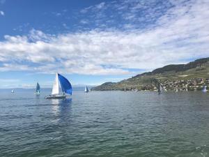 un gruppo di barche a vela su un grande bacino d’acqua di beau T1 30 résidence sécurisée proche centre ville parking privé wifi a La Celle-sous-Gouzon
