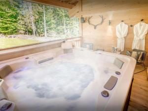 拉克吕萨Chalet Riparian - OVO Network的带窗户的房间里有一个大浴缸