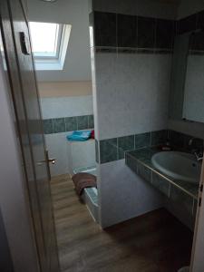 y baño con lavabo y ducha en la puerta trasera. en Au Grés du Vent, en Ruy