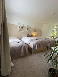 una camera con due letti e un gatto sdraiato sul letto di The School Cottage a Moyard Altre 13 foto