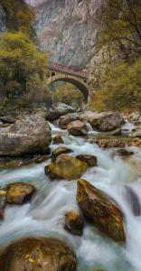 ペヤにあるEden Hostel Pejaの列車が走る小川にかかる橋