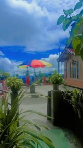 two red and yellow umbrellas in front of a building at ABM Homestay in Kalimpong