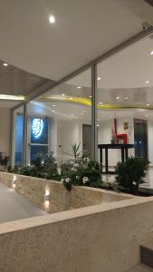 un vestíbulo con una gran ventana con plantas. en Centrico loft, en Puerto Madryn