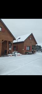 PrzeciszówDomki Na Winnicy Zator Przeciszów的几栋地面上积雪的建筑