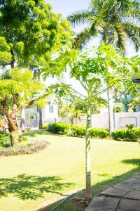 Zahrada ubytování Salt Garden Inn