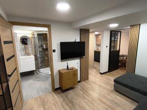 a living room with a flat screen tv and a bathroom at Apartment typu suite LE BLEU in Płock