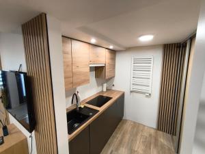 Kuchyň nebo kuchyňský kout v ubytování Apartment typu suite LE BLEU + 7 fotografií