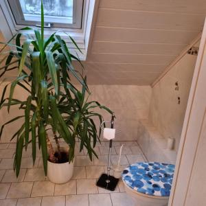 a bathroom with a toilet and a plant at Gästezimmer Aschenbrenner in Bad Rodach +23 photos
