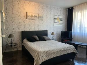 una camera da letto con un letto e una TV di beau T1 30 résidence sécurisée proche centre ville parking privé wifi a La Celle-sous-Gouzon