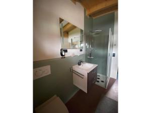 un bagno con lavandino e doccia di Ferienwohnung Sußebach mit 80 Qm a Vöhringen Altre 13 foto