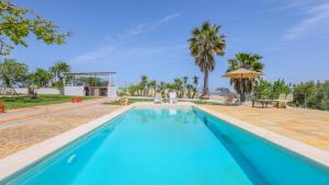 una piscina en una villa con palmeras en Finca El Olivo Llorón Montilla by Ruralidays, en Montilla