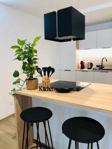 Η κουζίνα ή μικρή κουζίνα στο Les genêts ensollés +3 φωτογραφίες