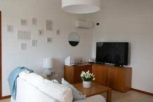 Μια τηλεόραση ή/και κέντρο ψυχαγωγίας στο Holiday Home Camino Monferrato