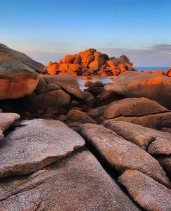 Loodusmaastik puhkemaja lähedal