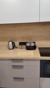 Una encimera de cocina con dos ollas y sartenes encima. en apartament, en Tomaszów Mazowiecki