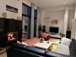 Posezení v ubytování Villeni Panorama Apartment Oktonia