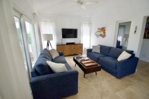 Televiisor ja/või meelelahutuskeskus majutusasutuses Blue For You, 3 bedroom home with pool, Hope Town