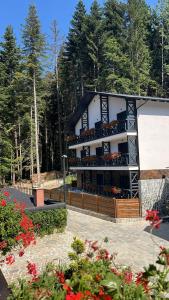 un edificio con un balcone con fiori di fronte di Casa Daria a Durau