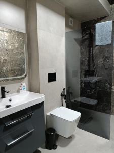 un bagno con wc, lavandino e doccia di Casa Daria a Durau