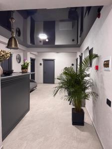 un corridoio con una pianta in vaso in una stanza di Casa Daria a Durau