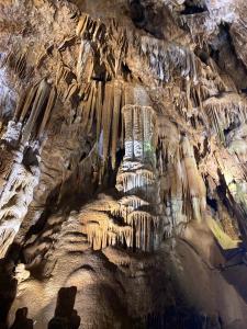 Příroda nedaleko apartmánu